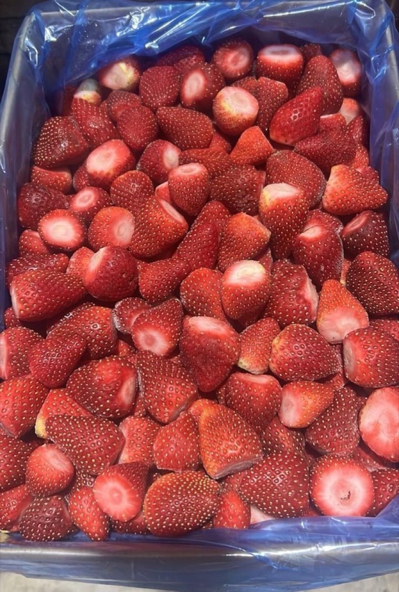 Ganze IQF-Erdbeeren im 10-Kilo-Karton mit blauem PE-Inliner