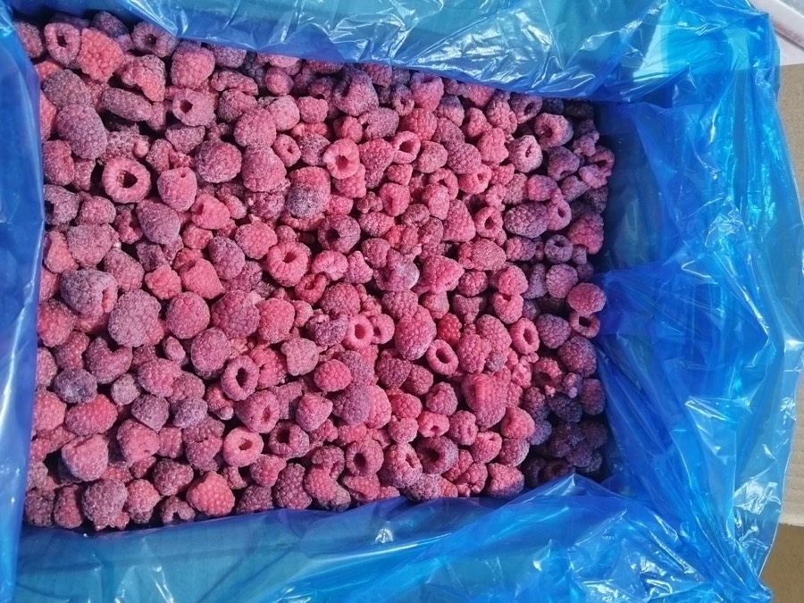 IQF-Himbeeren 80/20 im Karton mit PE-Inliner